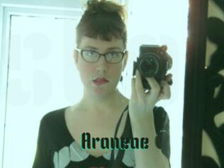 Araneae