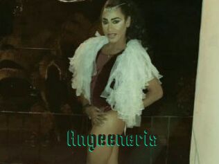 Angeeneris