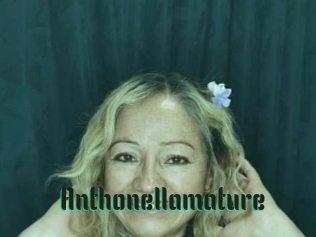 Anthonellamature