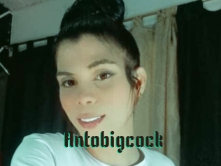 Antobigcock