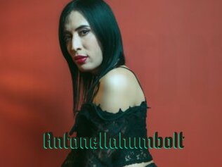 Antonellahumbolt