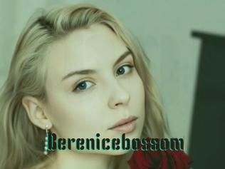 Berenicebossom