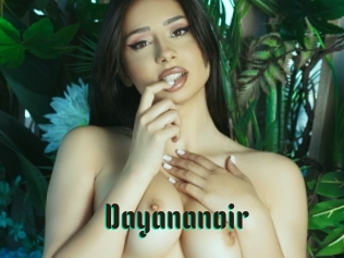 Dayananoir