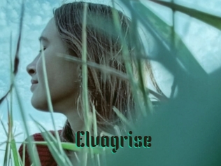 Elvagrise