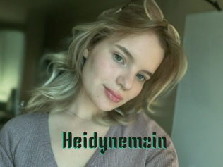 Heidynemzin
