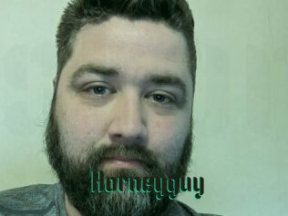 Horneyguy