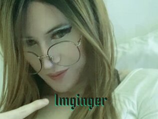 Imginger