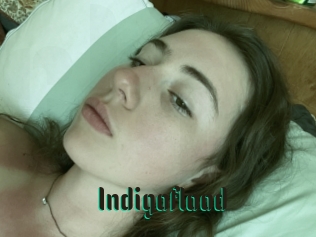 Indigoflood