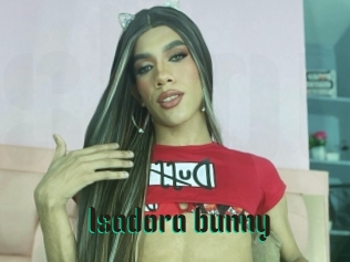 Isadora_bunny