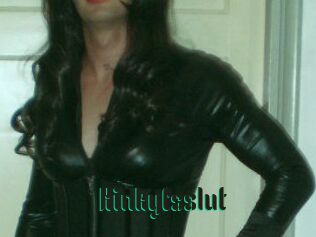 Kinkytsslut