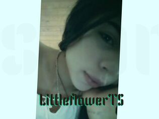 LittleflowerTS