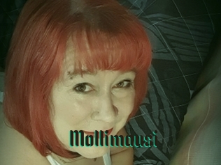 Mollimausi