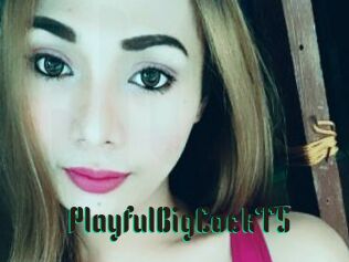 PlayfulBigCockTS