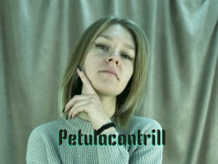 Petulacantrill