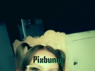 Pixbunny