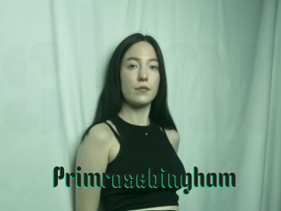 Primrosebingham