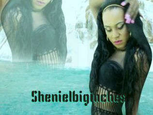 Shenielbiginches