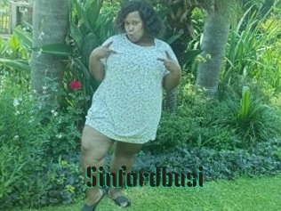 Sinfordbusi