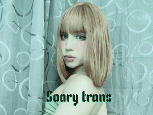 Soary_trans