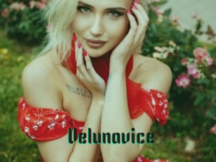 Velunavice