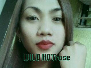 WILD_HOTrose