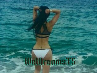 WetDreamsTS